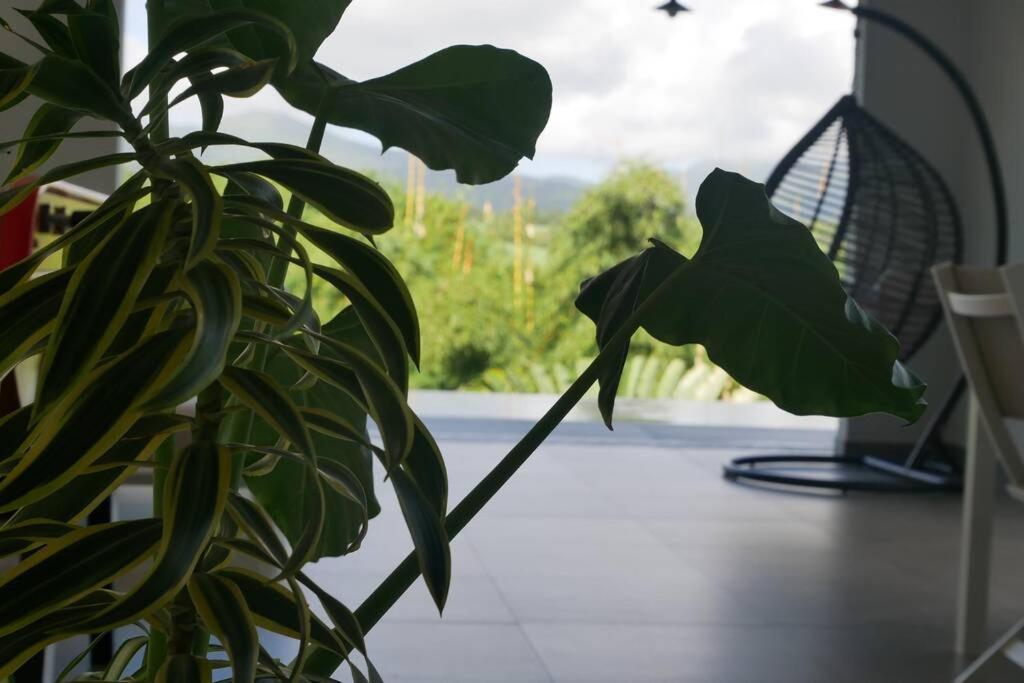 Villa Kumquat Avec Piscine Et Vue Sur Les Montagnes 프티-부르 외부 사진